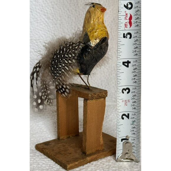 Antique German Made Paper Mache Bird Possibly Sandgrouse Real Feathers Wood Base - Picture 7 of 14